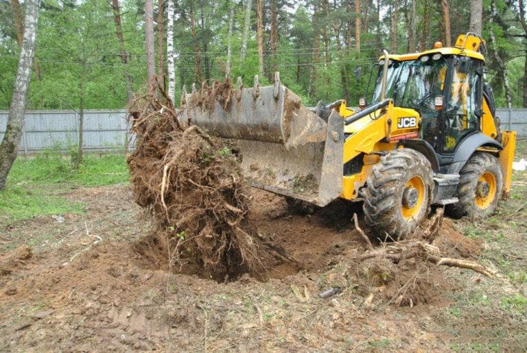 Корчевание пней, спил веток/деревьев - фото 1