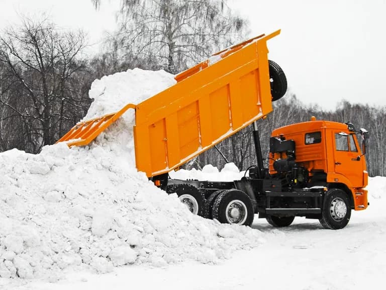 Уборка и вывоз мусора/снега - фото 2